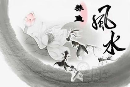 魚缸與爐灶沖突的化解方法：魚缸與爐灶的沖突是家居風水中常見的問題