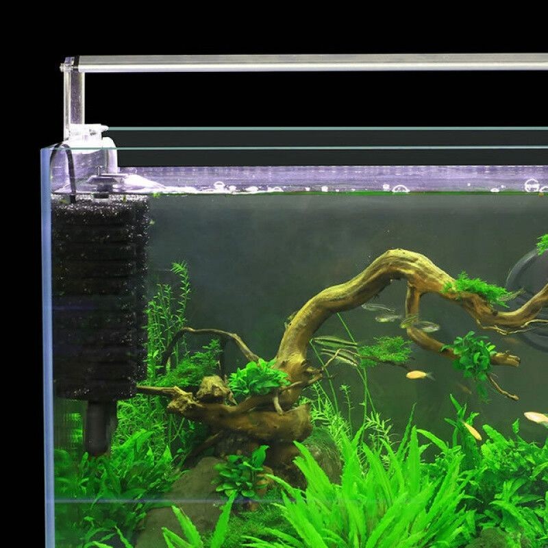 魚缸過濾器的選擇：京業(yè)jingye水族寵物用品牌ofoceanfree過濾器 魚缸過濾器的選擇：京業(yè)jingye水族寵物用品牌ofoceanfree過濾器 魚缸百科 第2張
