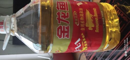 紅龍魚的正確飼養(yǎng)方法圖解大全視頻下載安裝手機(jī)版（紅龍魚的飼養(yǎng)方法講解視頻） 紅龍魚的正確飼養(yǎng)方法圖解大全視頻下載安裝手機(jī)版（紅龍魚的飼養(yǎng)方法講解視頻） 龍魚百科
