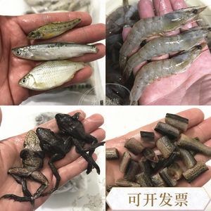 龍魚長期喂冷凍林蛙好嗎：龍魚喂食冷凍林蛙好嗎