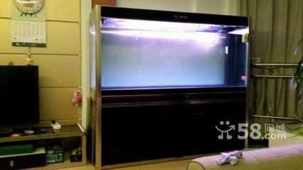 萬州定做魚缸（萬州定做魚缸,萬州地區提供多種定做魚缸服務，滿足不同客戶需求）