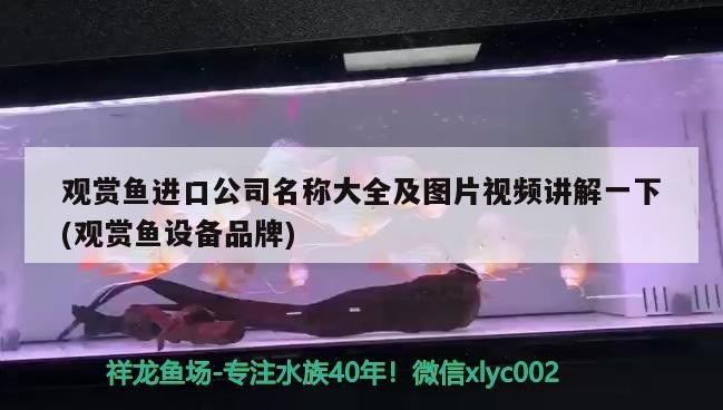 廣州曼韋貿易店