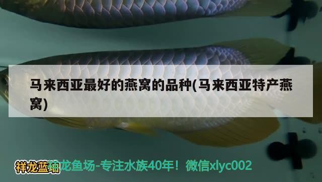 廣州曼韋貿易店