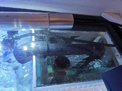 底濾魚缸消音螺旋拆卸詳細步驟:底濾魚缸消音螺旋拆卸