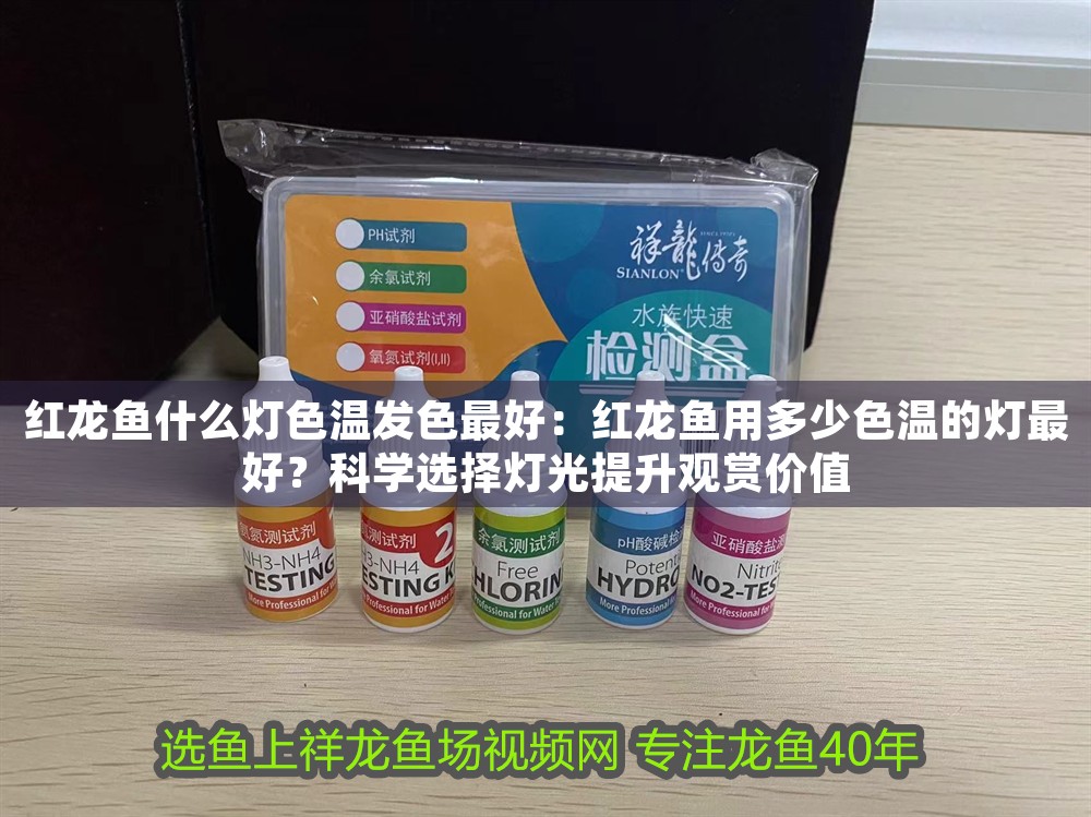 紅龍魚什么燈色溫發色最好：紅龍魚用多少色溫的燈最好？科學選擇燈光提升觀賞價值
