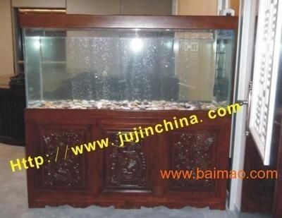 廣州魚缸廠家(廣州魚缸廠家廠家地址)