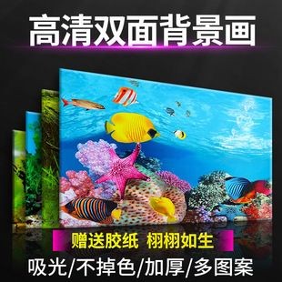 魚缸背景圖片大全超清壁紙圖片（魚缸背景圖片大全）