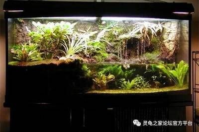 海拉爾地區多條二手魚缸出售信息養魚入門指南：海拉爾二手魚缸出售信息匯總