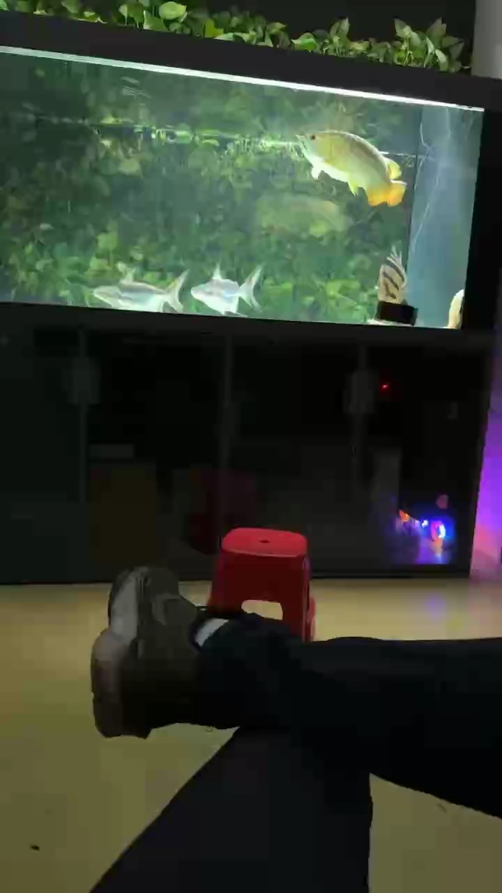 懂的人一眼就夠 金龍想出了