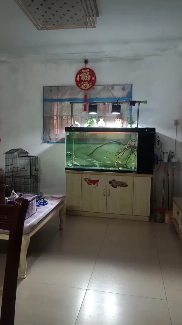 一喊就來