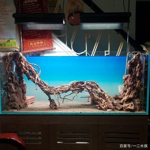 水草魚缸造景圖片大全（水草魚缸造景圖片大全,）