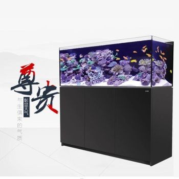 紅海魚缸進口情況：關于紅海魚缸進口情況的具體信息