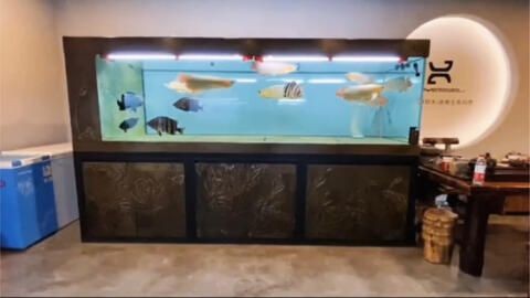 久鼎魚缸的價(jià)格表:久鼎魚缸價(jià)格表