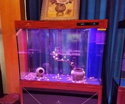 可麗愛魚缸售后維修電話可麗愛魚缸壽命(可麗愛魚缸售后電話)
