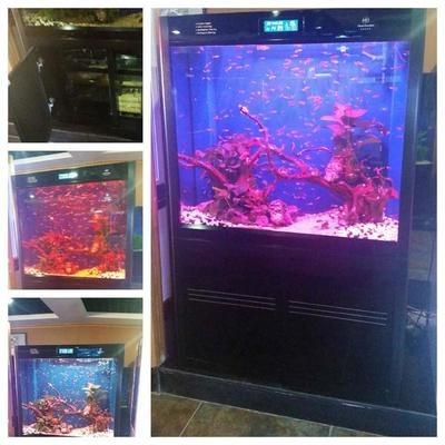可麗愛魚缸售后維修電話可麗愛魚缸壽命(可麗愛魚缸售后電話)