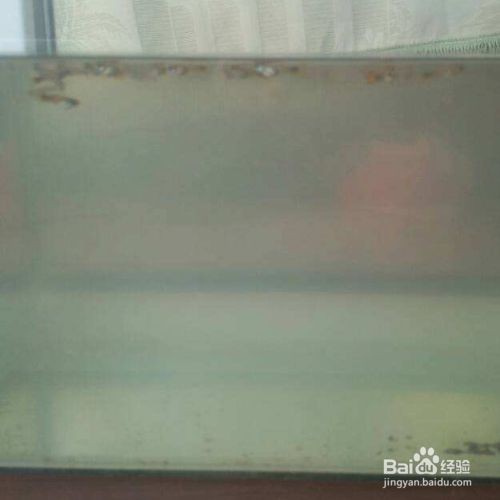 大佬們看看我這條怎么樣？
