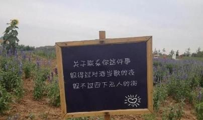 海子魚缸的價格及牌子：海子魚缸價格