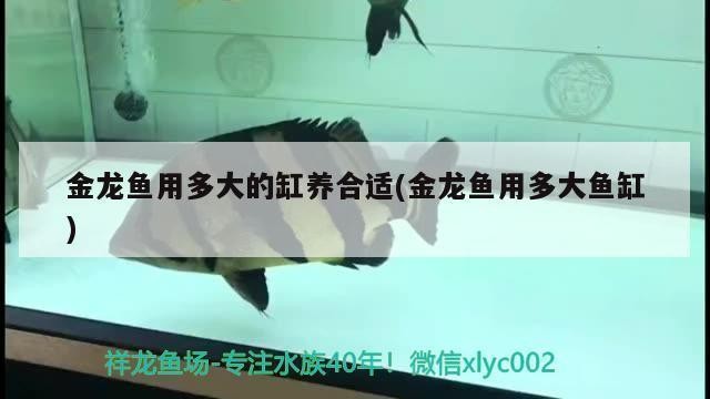 貴陽恒大鑫奧旅游開發有限公司（貴陽恒大鑫奧旅游開發有限公司招聘） 貴陽恒大鑫奧旅游開發有限公司（貴陽恒大鑫奧旅游開發有限公司招聘） 全國水族館企業名錄