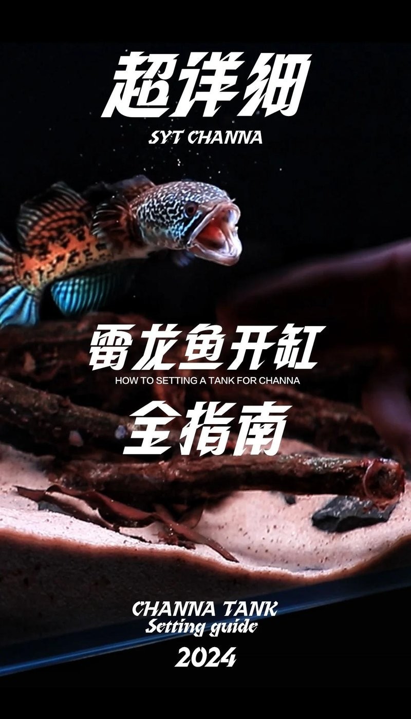 除了雷龍魚，還有哪些龍魚品種適合窄缸？