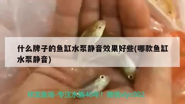 威海市環翠區老龍王水族館（威海市環翠區老龍王水族館電話） 威海市環翠區老龍王水族館（威海市環翠區老龍王水族館電話） 全國水族館企業名錄