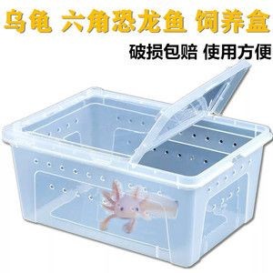 diy魚缸過濾系統的構建與維護魚缸生態系統的選擇：diy魚缸過濾器的發展歷程