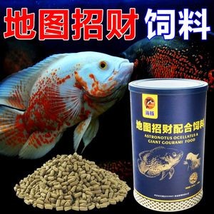 龍魚吃魚飼料嗎會死嗎(龍魚可以吃魚飼料嗎)
