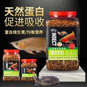 龍魚吃魚飼料嗎會死嗎(龍魚可以吃魚飼料嗎)