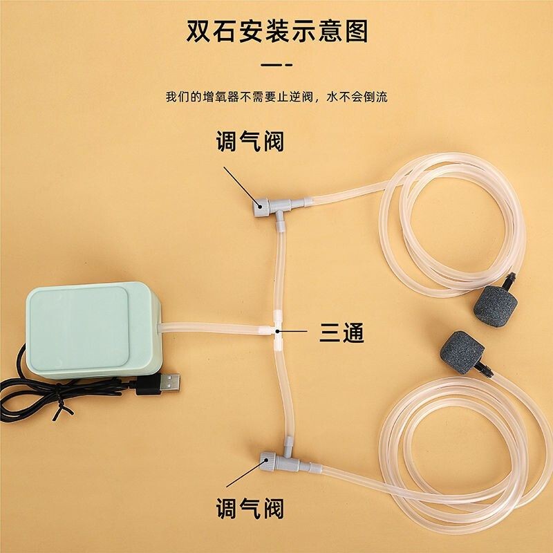 給小魚缸怎么弄氧氣(小魚缸增氧技巧大揭秘)