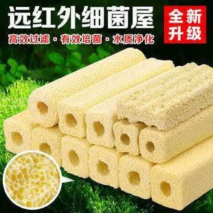 方柱魚缸：方柱魚缸適合養哪些魚