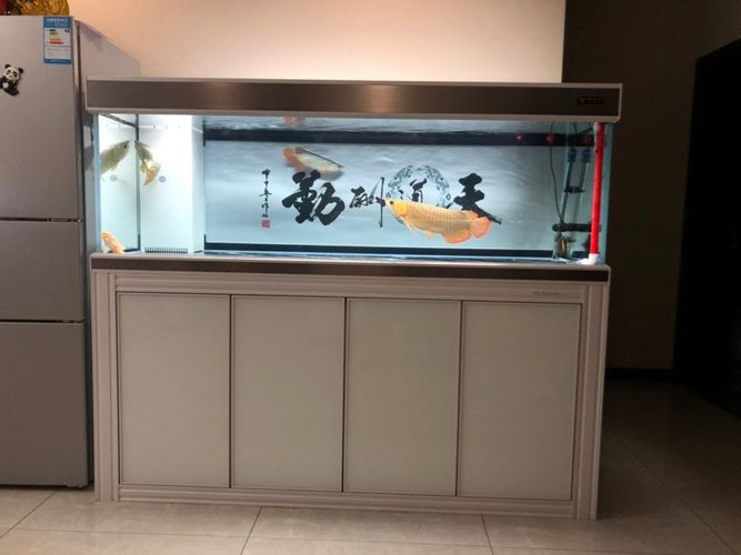 特魚氏魚缸評測：特魚氏魚缸售后政策詳解特魚氏魚缸與其他品牌對比