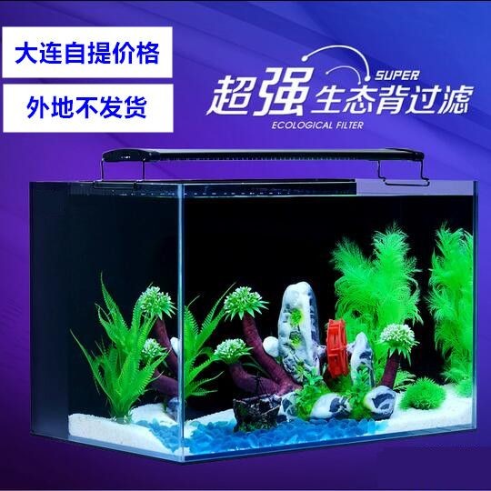 過濾魚缸多少錢一個（智能魚缸過濾系統維護魚缸過濾系統維護技巧） 過濾魚缸多少錢一個（智能魚缸過濾系統維護魚缸過濾系統維護技巧） 魚缸百科 第3張