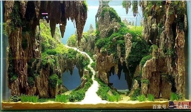 魚缸造景的技術原理和使用方法：智能魚缸造景技術原理和使用方法，讓你的魚缸變得更好 魚缸造景的技術原理和使用方法：智能魚缸造景技術原理和使用方法，讓你的魚缸變得更好 魚缸百科 第3張