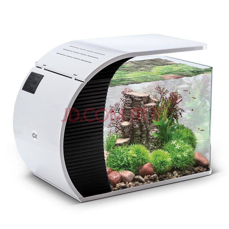 魚缸造景的技術原理和使用方法：智能魚缸造景技術原理和使用方法，讓你的魚缸變得更好 魚缸造景的技術原理和使用方法：智能魚缸造景技術原理和使用方法，讓你的魚缸變得更好 魚缸百科 第1張