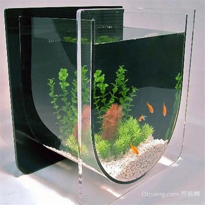 <strong><mark>承德</mark></strong>市雙橋區(qū)龍騰水族店