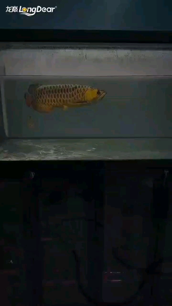 轉發790