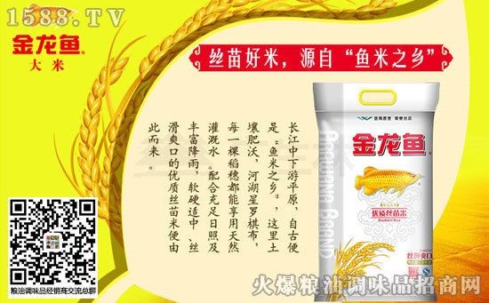 金龍魚優質絲苗米（金龍魚優質絲苗米的營養價值排行）
