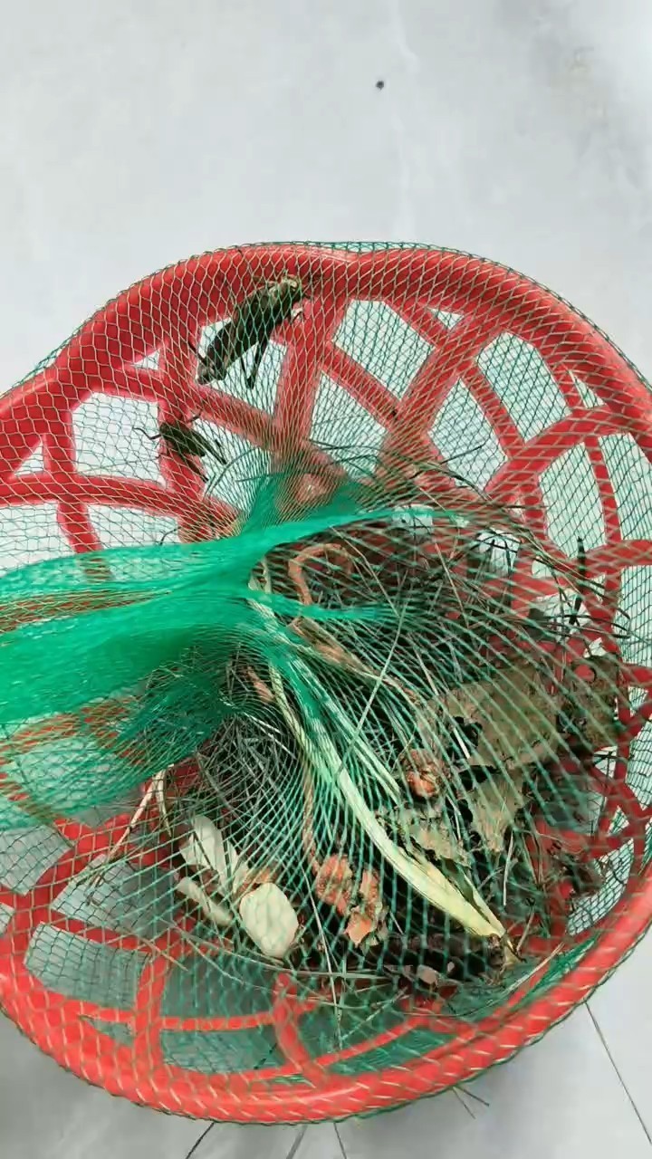 紅龍魚(yú)用黃燈烤有用嗎 太神奇了 龍魚(yú)論壇 太神奇了 太神奇了 龍魚(yú)論壇