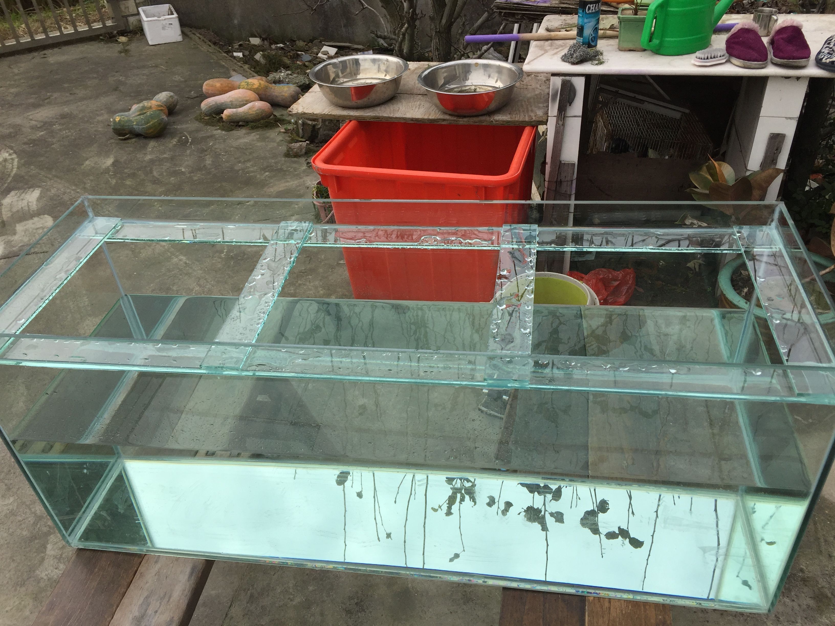 潭溪魚(yú)缸怎么樣：初學(xué)者適合養(yǎng)什么魚(yú)魚(yú)缸品牌推薦及評(píng)價(jià)及評(píng)價(jià)