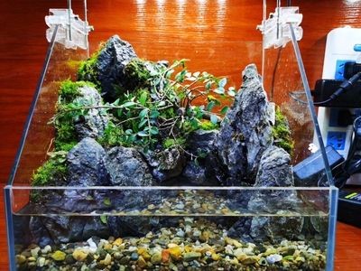 潭溪魚(yú)缸怎么樣：初學(xué)者適合養(yǎng)什么魚(yú)魚(yú)缸品牌推薦及評(píng)價(jià)及評(píng)價(jià)