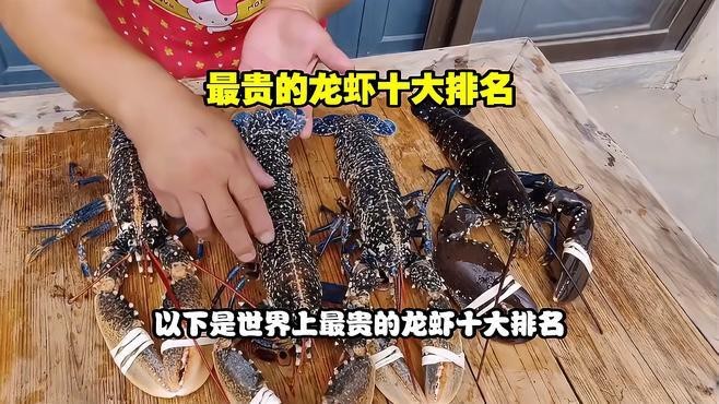 十大龍蝦中哪個最貴？ 十大龍蝦中哪個最貴？ 龍魚百科 第4張