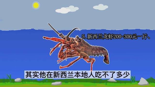 十大龍蝦中哪個最貴？ 十大龍蝦中哪個最貴？ 龍魚百科 第5張