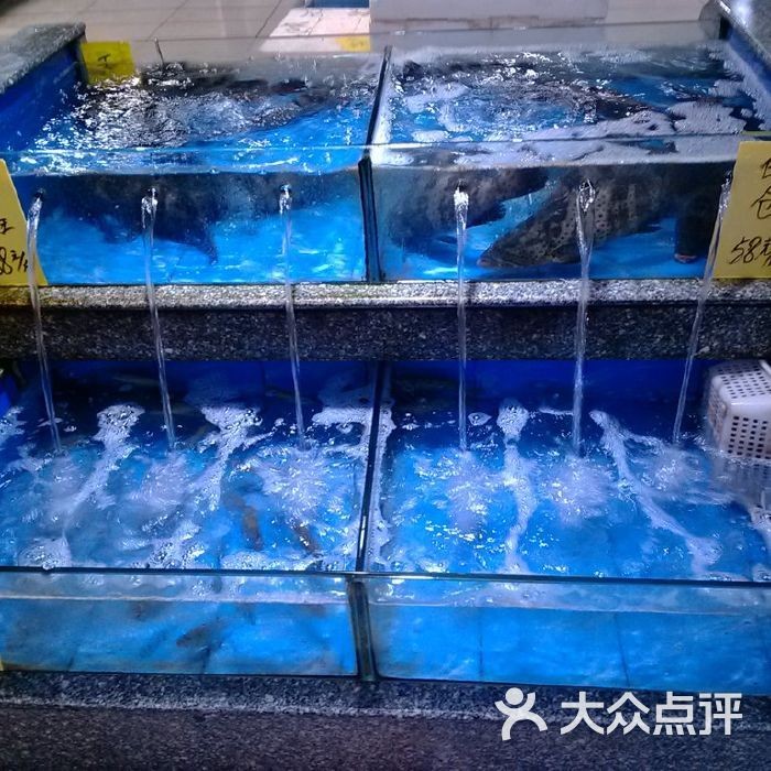 自制海鮮魚缸的步驟：制作海鮮魚缸的步驟