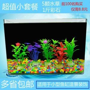 適合淡水魚缸的水草有哪些？：適合淡水魚缸的水草 適合淡水魚缸的水草有哪些？：適合淡水魚缸的水草 魚缸百科 第3張