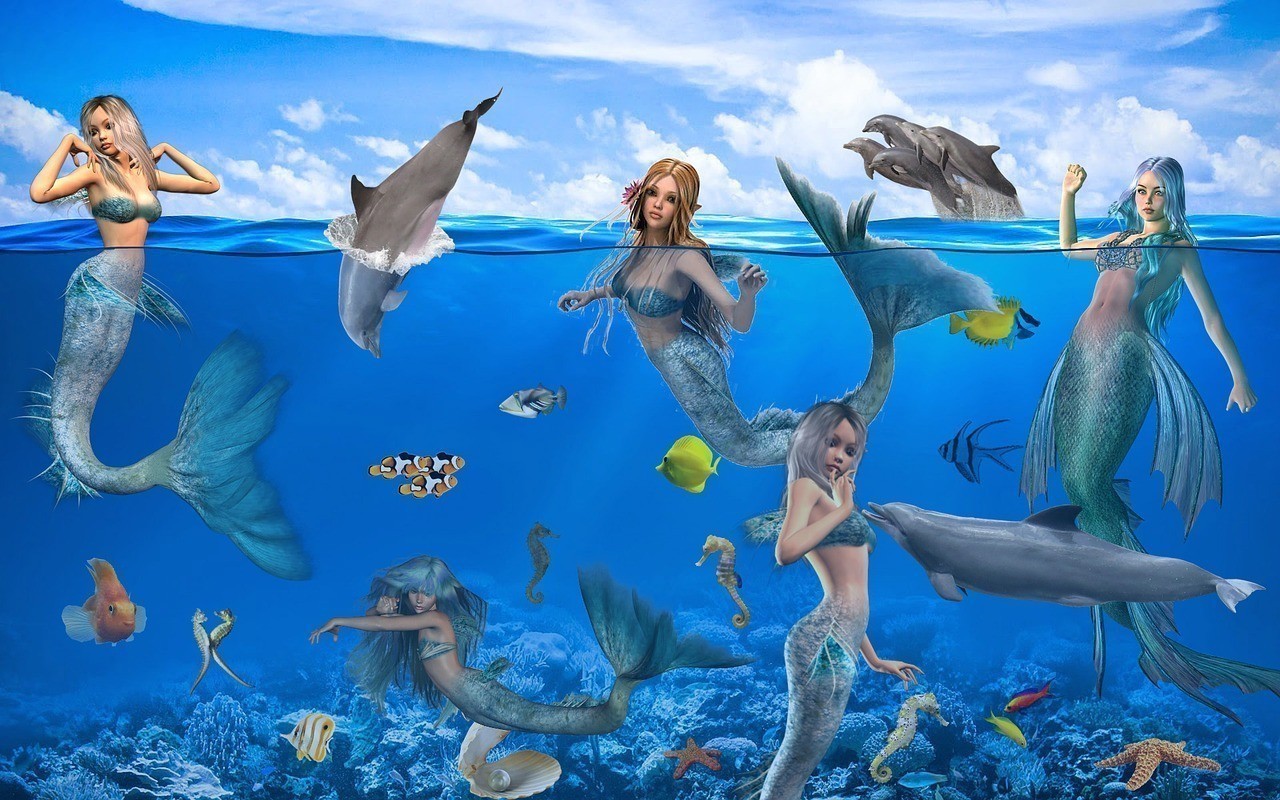 龍川縣老隆鎮鑫水族漁具店
