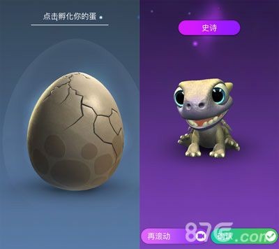 龍魚蛋的孵化方法（龍魚卵人工孵化的方法）