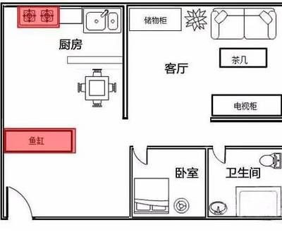 龍魚買多大的合適養：選擇合適尺寸的魚缸大小對于龍魚的健康生長至關重要