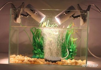 魚缸過濾器的基本使用方法：魚缸過濾器的使用方法