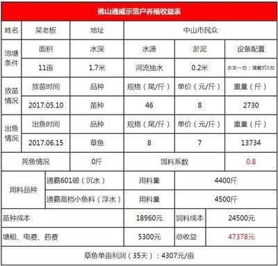 瀘州龍魚魚缸：瀘州龍魚魚缸，打造家居水族藝術的完美選擇