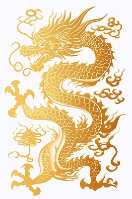金龍魚壁紙模板有哪些風格可選？