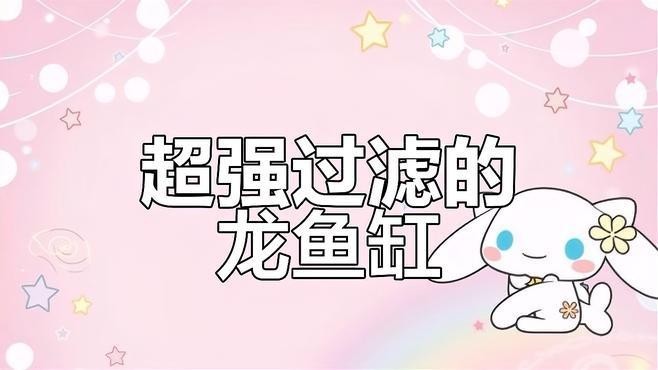 如何判斷金龍魚是否得了病?(如何判斷金龍魚是否生病?) 龍魚百科 第2張 如何判斷金龍魚是否得了病?(如何判斷金龍魚是否生病?) 如何判斷金龍魚是否得了病?(如何判斷金龍魚是否生病?) 龍魚百科 第2張